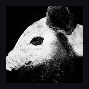 Pigsty '22 (Explicit)