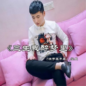 尘辰 - 三生我醉梦里
