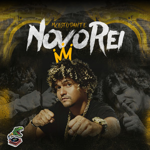 Novo Rei