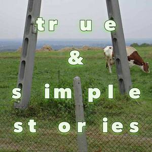 True & Simple Stories