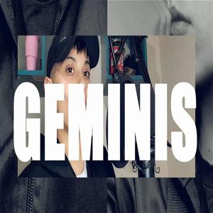 GEMINIS