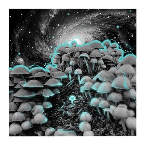 Wizja Świata (Explicit)