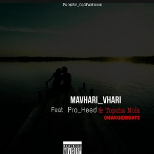 Mavhari Vhari (feat. Pro_Heed, Topcha Nola & (Maxus)Beatz)