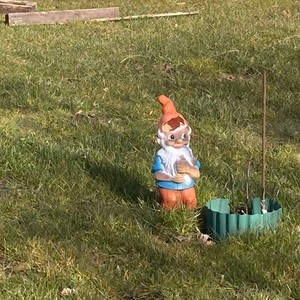 the bigger and smaller cities of north rhine west-phalia