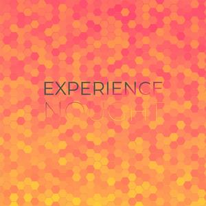 Experience Nought