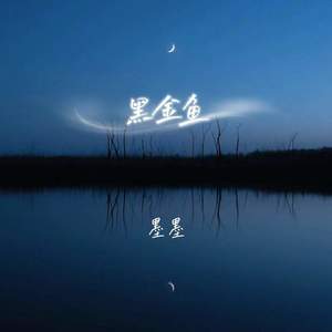 黑金鱼