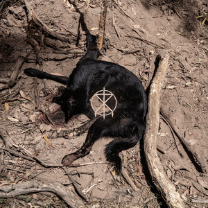 High-Impact (Instrumental)