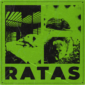 Ratas (Explicit)