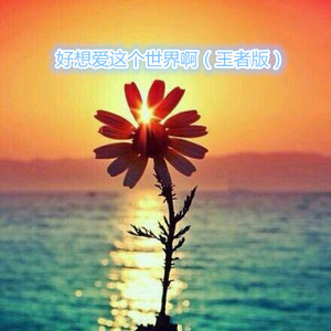 心如止水 (王者版)