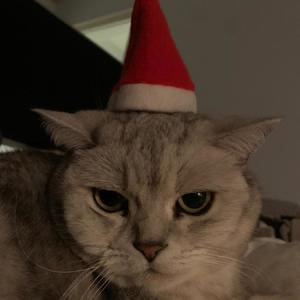 Teenage Killers (feat. animoe)