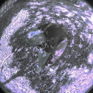 Let U Down (Acoustic)