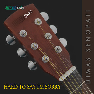 Hard to Say I'm Sorry