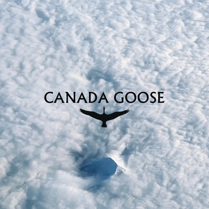 Canada Goose