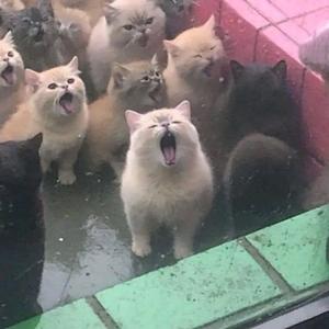 sleeping with my butterfly knife (Explicit)