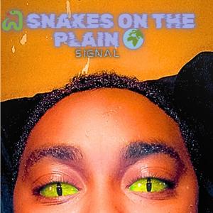 Snakes on the plain (Explicit)