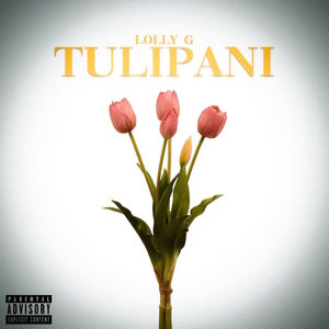 Tulipani