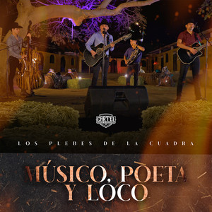 Músico, Poeta y Loco