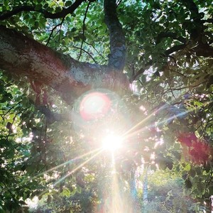 twice (mioskii remix|Explicit)