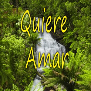 Quiere Amar