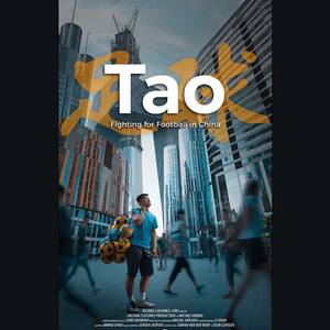 喜鹊 纪录片《Tao - Fighting for Football in China》主题曲