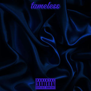 tameless (Explicit)