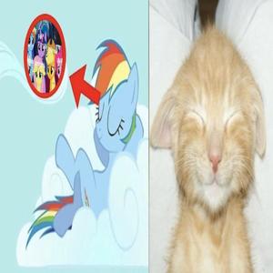 SBKK - porquê? (Explicit)