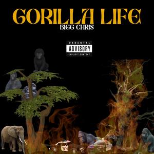 Gorilla Life (Explicit)