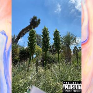 I Want Dope (Explicit)