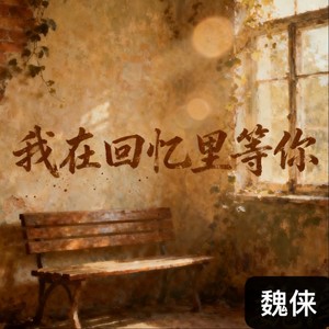 我在回忆里等你 (DJ阿尼版)封面