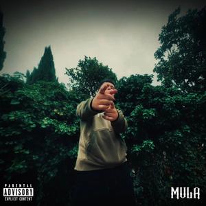 MULA (Explicit)