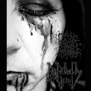 Pout (Blah) (Explicit)