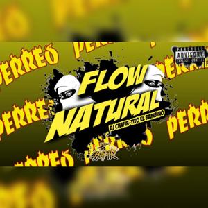 Flow Natural (DJ CHAFIR MIXEO)
