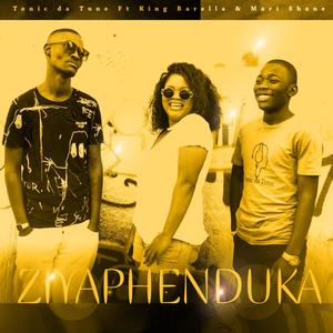 Ziyaphenduka(feat. King Barella & Mari Shane)