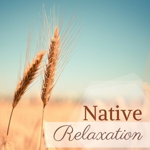 Native Relaxation - XX Tracks: Zen Music Harmony, Healing Zone, Wellness and Serenity, Body & Mind Relaxation, Tranquility for Body and Mind