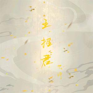 王招君 (男声版)封面