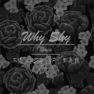 WHY SHY  (KG remix)