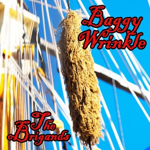 Baggy Wrinkle (Explicit)