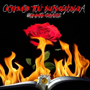 Como Tú Ninguna