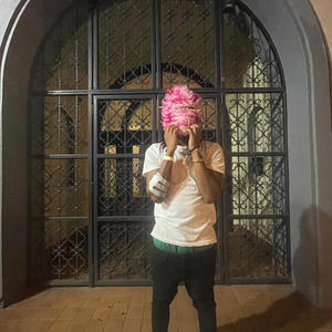 bird n a jet (bxg) (Explicit)