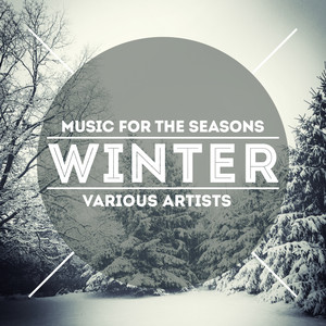 Largo from Concerto No 4 in F Minor - Winter from The Four Seasons
