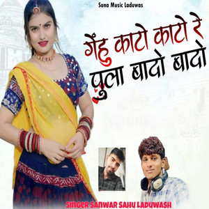 Gehu Kato Kato Re Pula Bado Bado