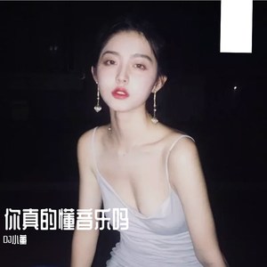 现实碰一碰 (DJ沈念 Remix)
