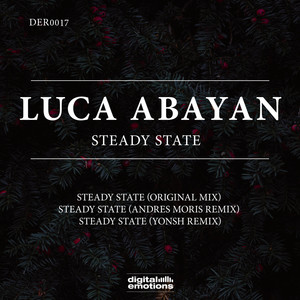 Steady State (Yonsh Remix)
