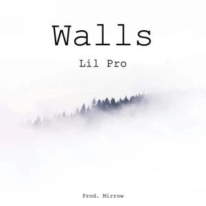 Walls (Explicit)