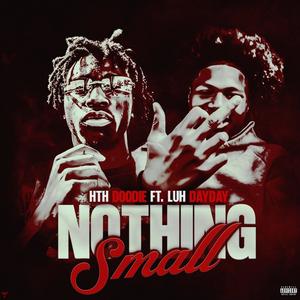 Nothing Small (feat. LuhDayday) (Explicit)