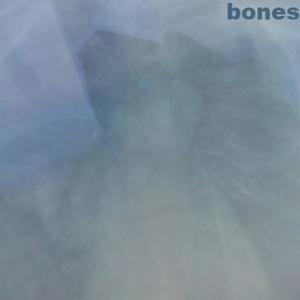 bones