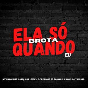 ELA SÓ BROTA QUANDO É EU (feat. Mc Magrinho & Dj Kayque do Taquaril) (dj rangel do taquaril Remix|Explicit)