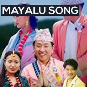 MAYALU SONG | Rajesh Payal Rai | Sunita Sanyak Limbu