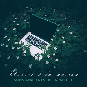 Étudier à la maison: Sons apaisants de la nature - Super concentration, Concentrer, 15 conseils pour apprendre