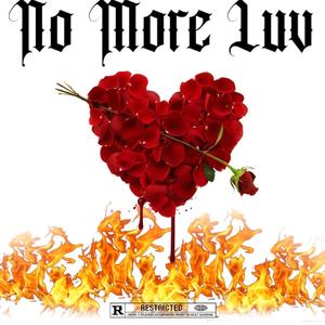 No More Luv (Explicit)